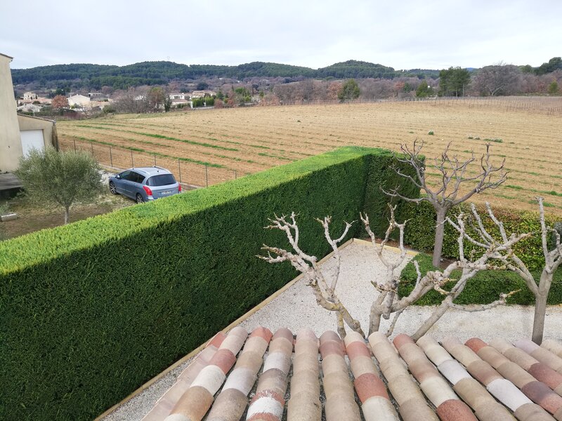 Taille de haie professionnelle à Pertuis et Aix-en-Provence