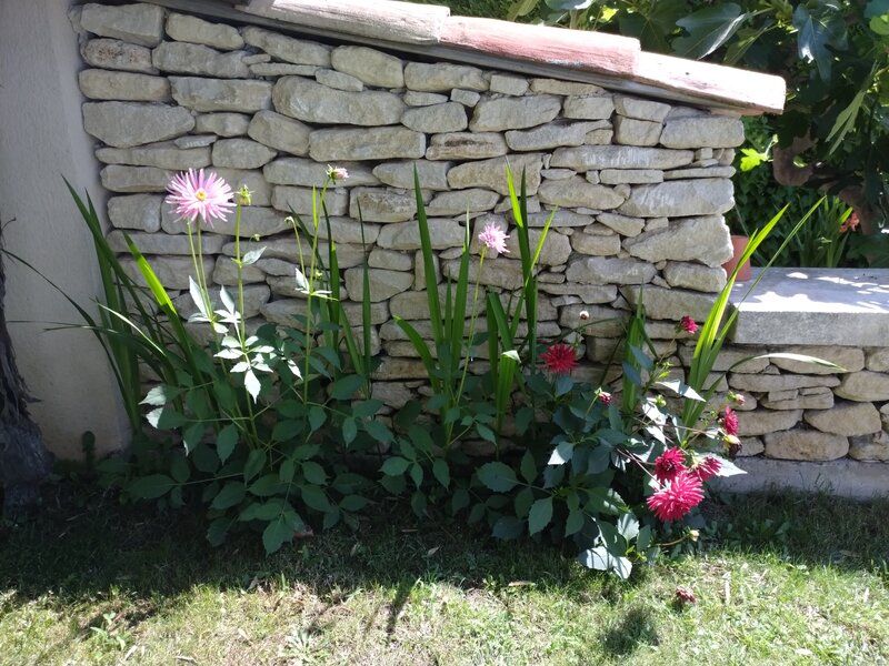 Entretien de jardin et tonte pelouse à Pertuis - JNL Service